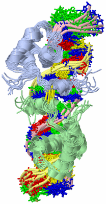 Image NMR Structure - all models