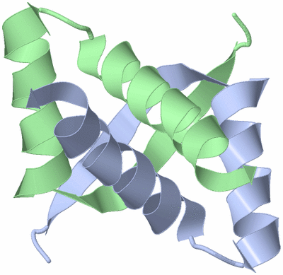 Image NMR Structure - model 1