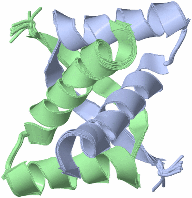 Image NMR Structure - all models