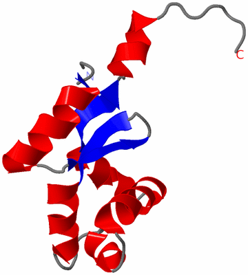 Image NMR Structure - model 1