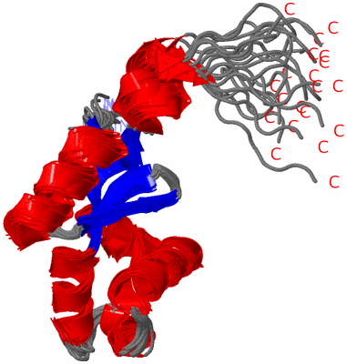 Image NMR Structure - all models