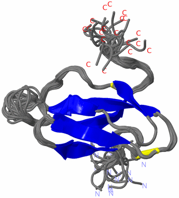 Image NMR Structure - all models