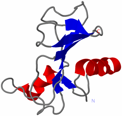 Image NMR Structure - model 1