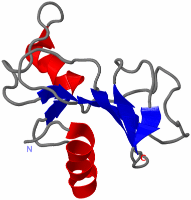 Image NMR Structure - all models