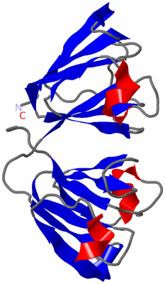 Image NMR Structure - model 1