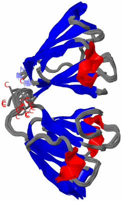 Image NMR Structure - all models