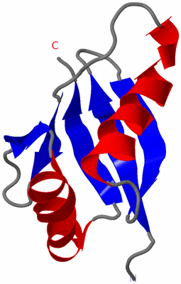 Image NMR Structure - model 1