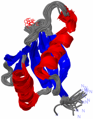 Image NMR Structure - all models