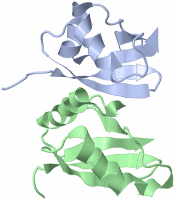 Image NMR Structure - model 1