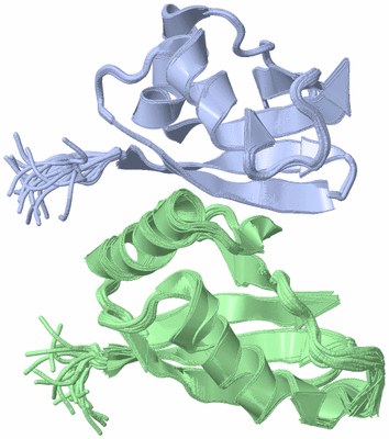 Image NMR Structure - all models