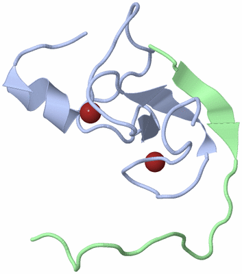 Image NMR Structure - model 1