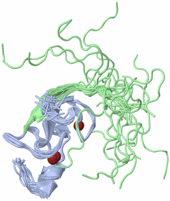 Image NMR Structure - all models