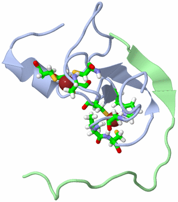 Image NMR Structure - model 1, sites