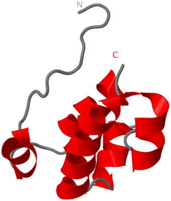 Image NMR Structure - model 1