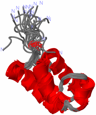 Image NMR Structure - all models