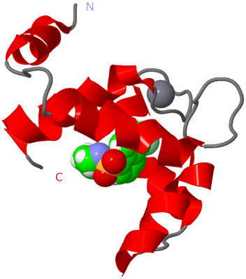 Image NMR Structure - model 1