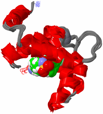 Image NMR Structure - all models