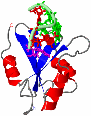 Image NMR Structure - model 1