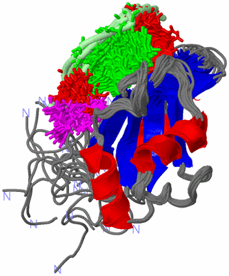 Image NMR Structure - all models