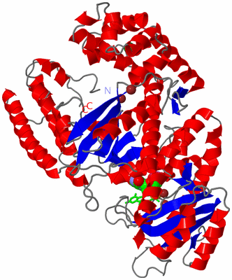 Image Asym./Biol. Unit