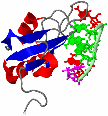 Image NMR Structure - model 1