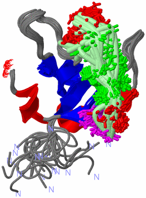 Image NMR Structure - all models