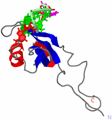 Image NMR Structure - model 1