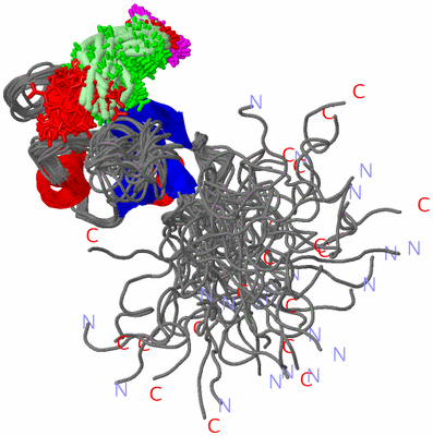 Image NMR Structure - all models