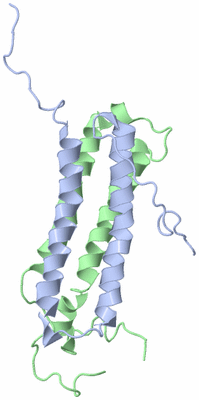 Image NMR Structure - model 1