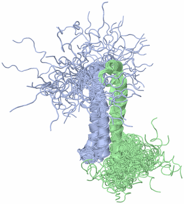 Image NMR Structure - all models