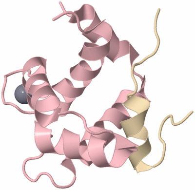 Image NMR Structure - model 1