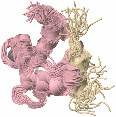 Image NMR Structure - all models