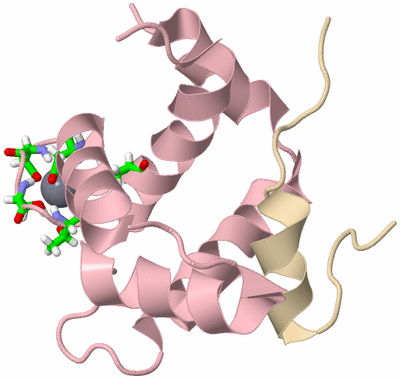 Image NMR Structure - model 1, sites