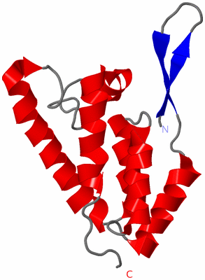 Image NMR Structure - model 1