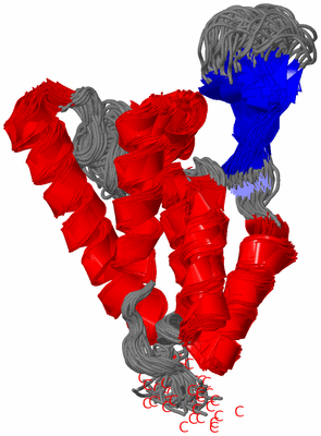 Image NMR Structure - all models