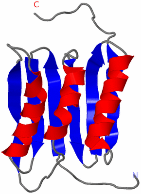 Image NMR Structure - model 1