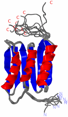 Image NMR Structure - all models