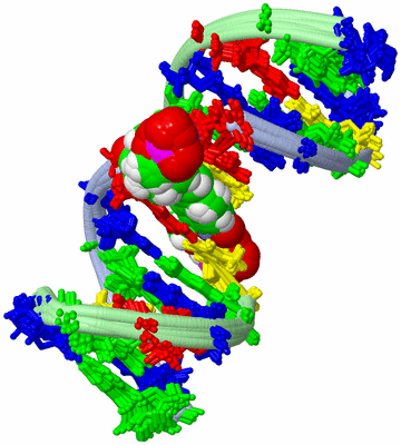 Image NMR Structure - all models