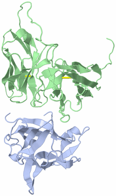 Image NMR Structure - model 1