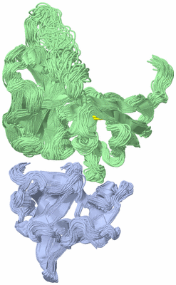 Image NMR Structure - all models