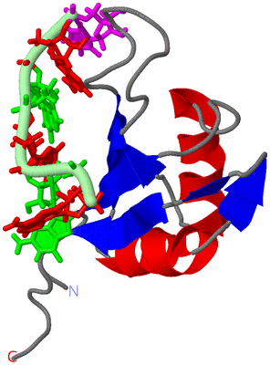 Image NMR Structure - model 1