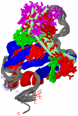 Image NMR Structure - all models