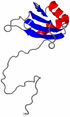 Image NMR Structure - model 1