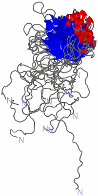 Image NMR Structure - all models