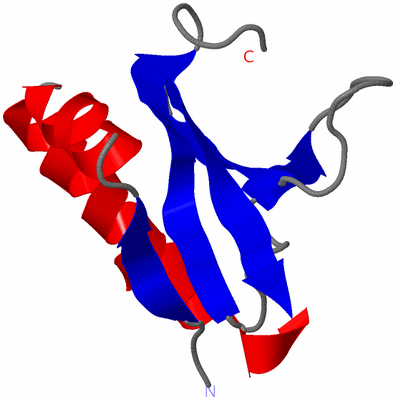 Image NMR Structure - model 1