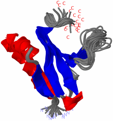 Image NMR Structure - all models