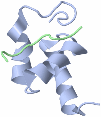 Image NMR Structure - model 1