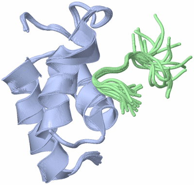 Image NMR Structure - all models