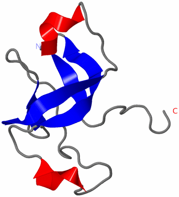 Image NMR Structure - model 1