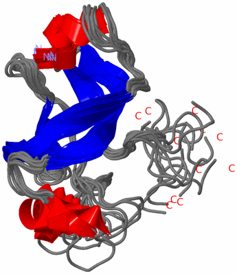 Image NMR Structure - all models